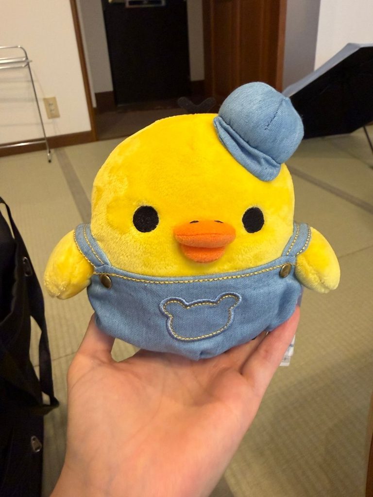 デニム仕様キイロイトリのぬいぐるみ、下の子へのお土産