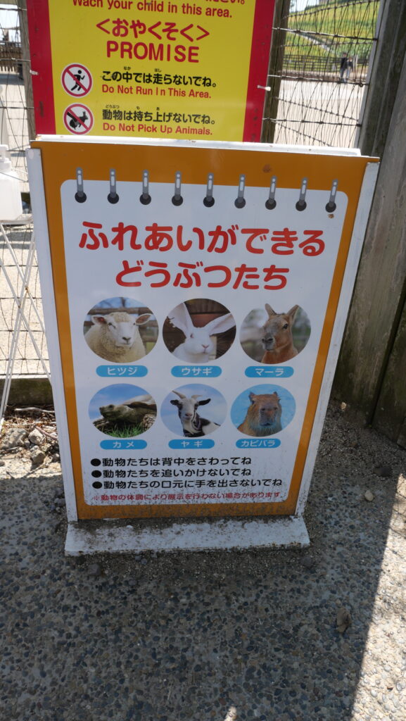 マザー牧場でふれあえる動物たち