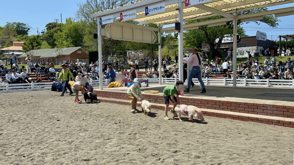 コースを走り抜けるこぶたたちのレースの様子