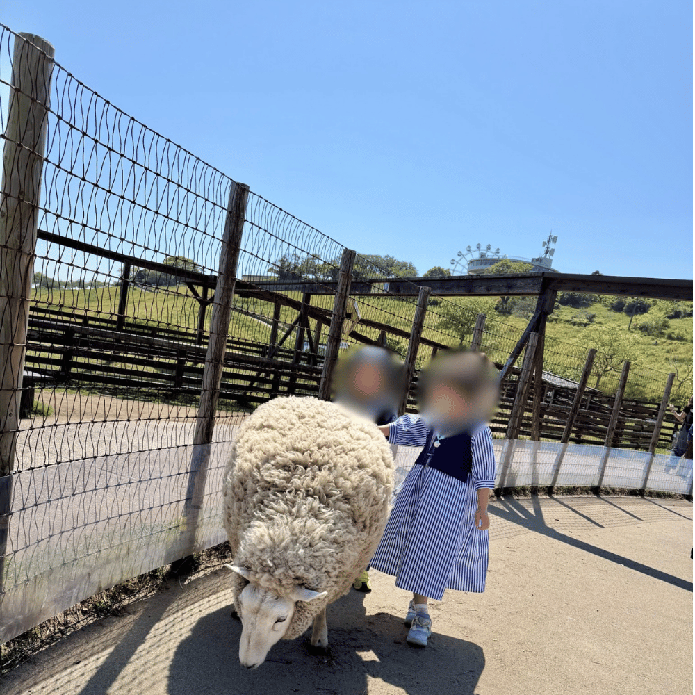 動物にそっと触れる上の子の様子