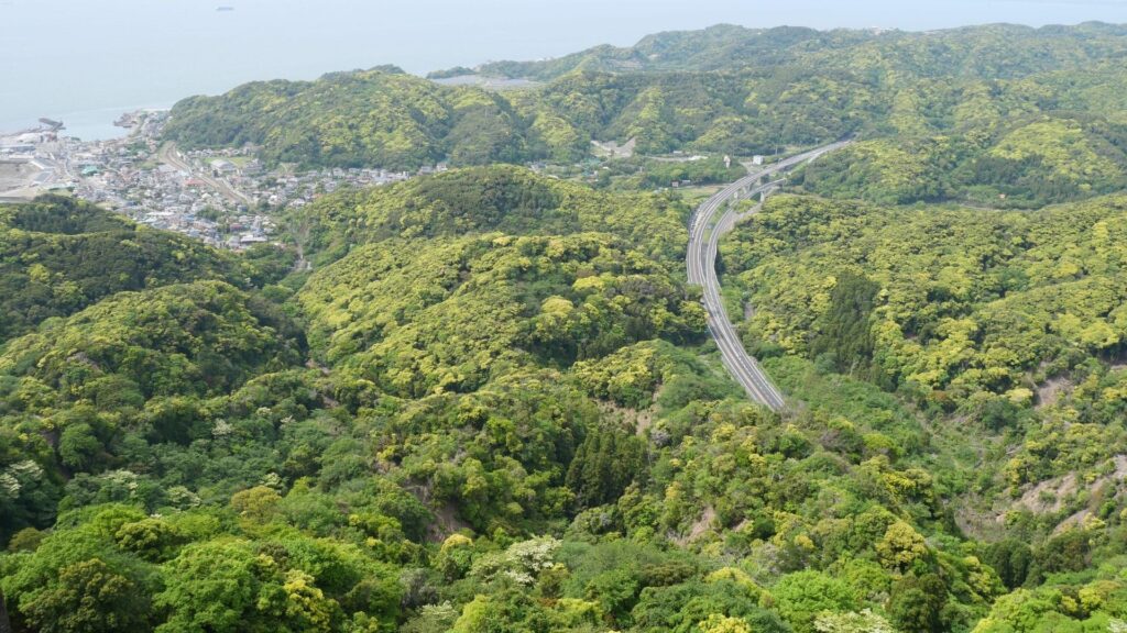 鋸山山頂から見る緑の山並みと道路の景色