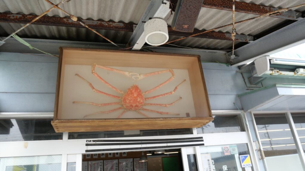 ばんやの店頭に飾られた大きな蟹の標本