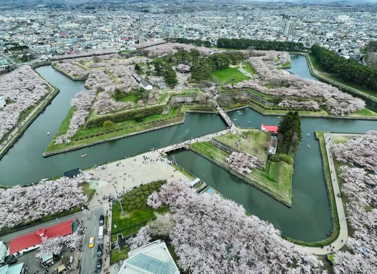 函館・五稜郭の桜が満開の時期に上空から撮影した写真