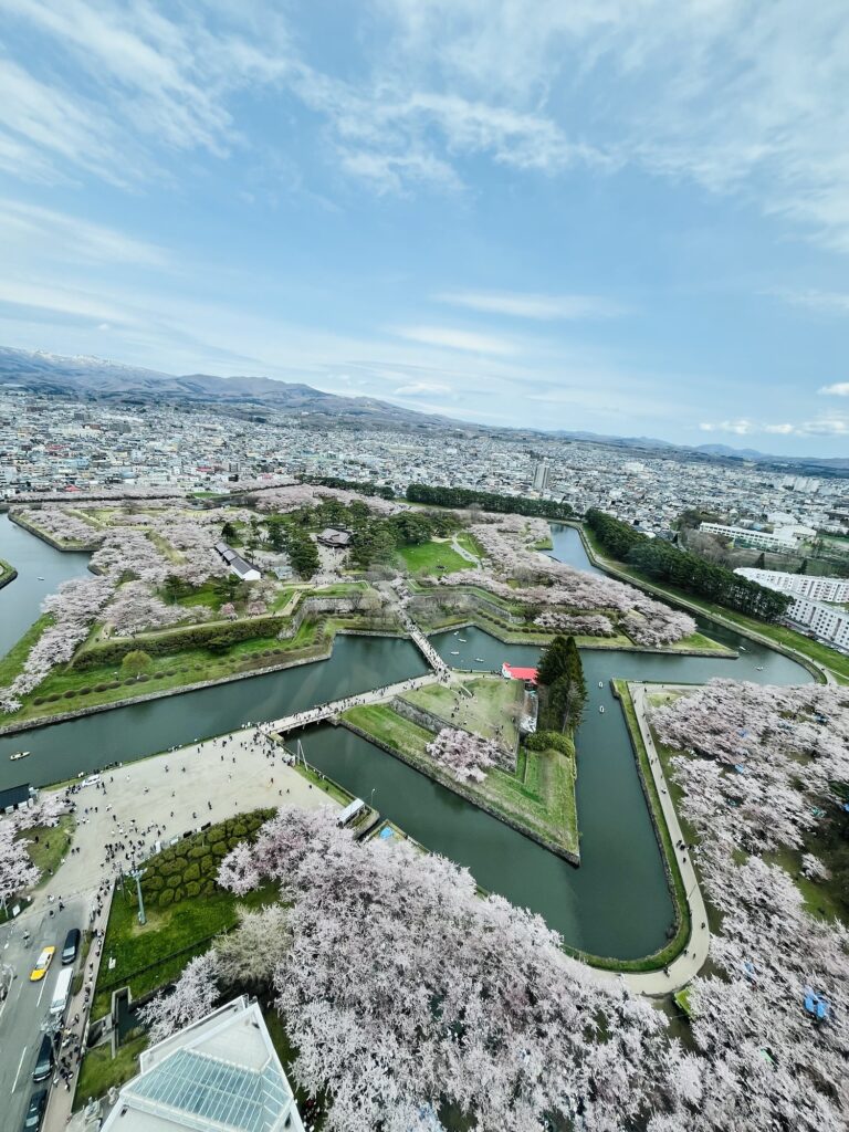 五稜郭公園の星形の堀を上空から見た桜満開の風景