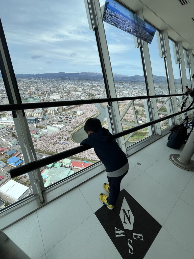 五稜郭タワー展望階から桜満開の五稜郭と街並みを眺める子ども